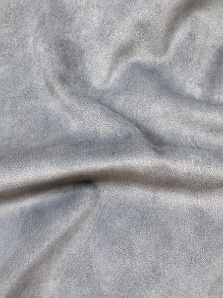 1233